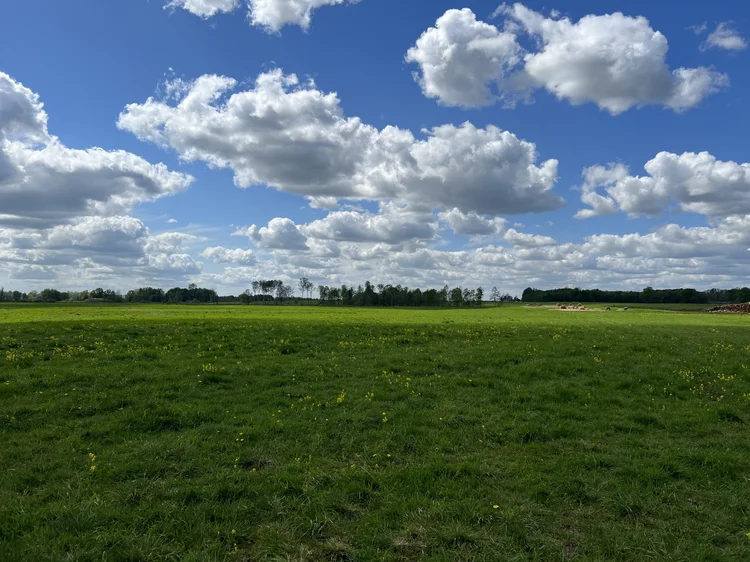 ZEMGALE — Crop Farm | 900 ha