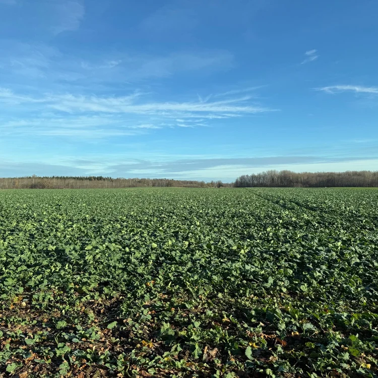 NORTH VIDZEME — Crop Farm — Valka district | 870 ha